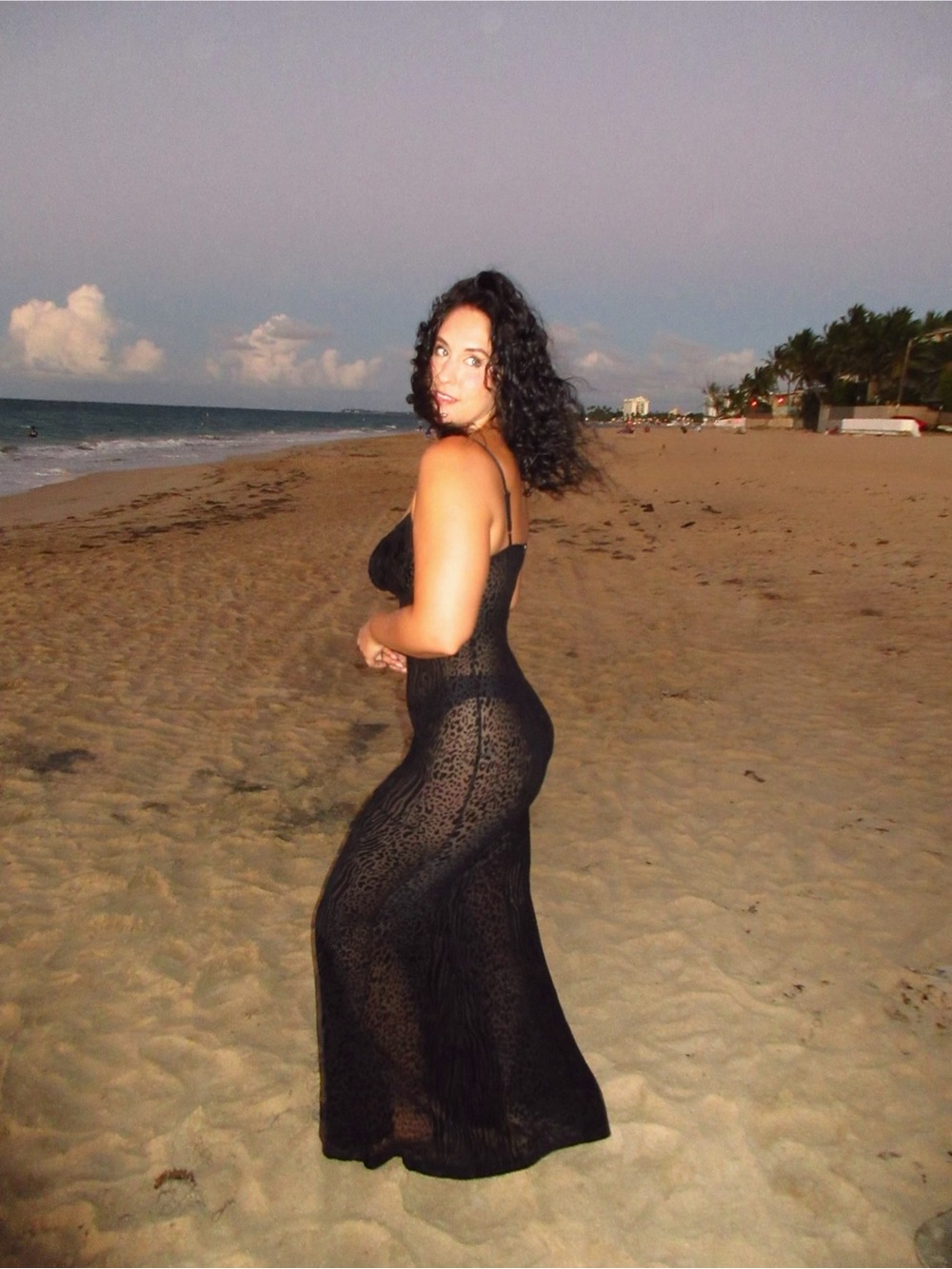 Yarina Black Sheer Mesh Velvet Burnout Animal Print Maxi Dress - Picture 2 of 6